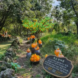 Jeju Glass Castle - Seogwipo