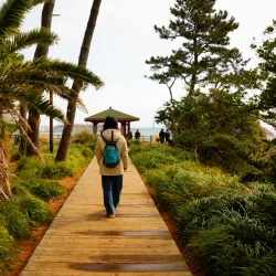 Jeju Olle Trail - Route 7 - Seogwipo