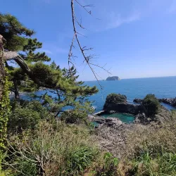 Jeju Olle Trail - Route 7 - Seogwipo