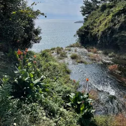 Jeongbang Waterfall - Seogwipo