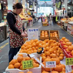 Seogwipo Maeil Olle Market - Seogwipo