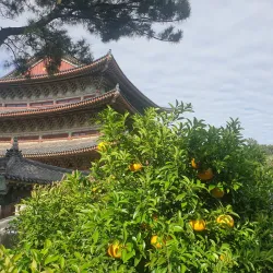 Yakcheonsa Temple - Seogwipo