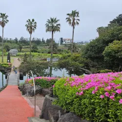 Yakcheonsa Temple - Seogwipo
