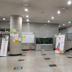 Seongnam Central Library - Seongnam