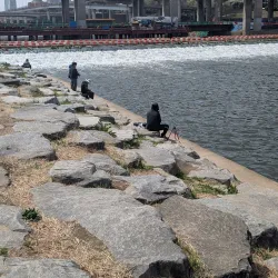 Tancheon Stream - Seongnam