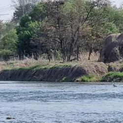Tancheon Stream - Seongnam