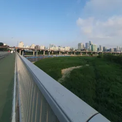 Tancheon Stream - Seongnam
