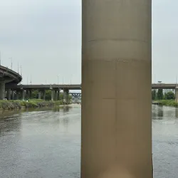 Tancheon Stream - Seongnam