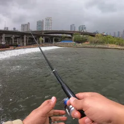 Tancheon Stream - Seongnam
