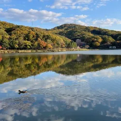 Yuldong Park - Seongnam