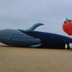 Mallipo Beach - Seosan