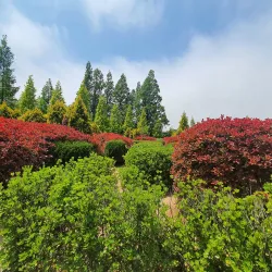 Seosan Arboretum - Seosan