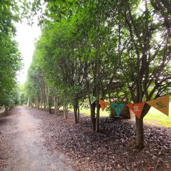 Seosan Arboretum - Seosan