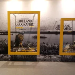 Seosan Birdland - Seosan