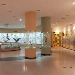 Seosan Birdland - Seosan