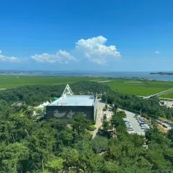 Seosan Birdland - Seosan