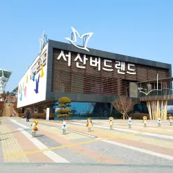 Seosan Birdland - Seosan