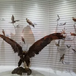 Seosan Birdland - Seosan