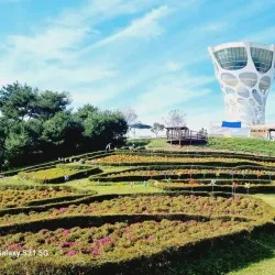 Seosan Birdland - Seosan