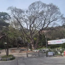 Seosan Daeheung Temple - Seosan