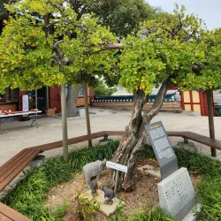 Seosan Marine Park - Seosan