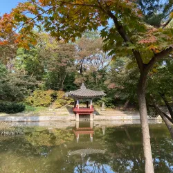 Changdeokgung Palace and Huwon (Secret Garden) - Seoul
