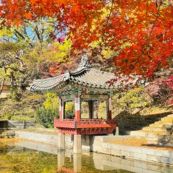 Changdeokgung Palace and Huwon (Secret Garden) - Seoul