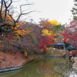 Changdeokgung Palace and Huwon (Secret Garden) - Seoul