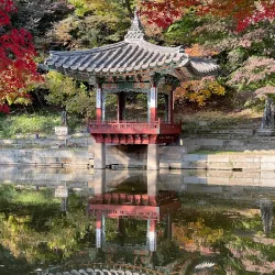 Changdeokgung Palace and Huwon (Secret Garden) - Seoul