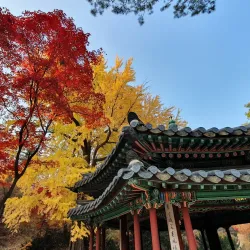 Changdeokgung Palace and Huwon (Secret Garden) - Seoul