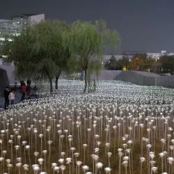 Dongdaemun Design Plaza (DDP) - Seoul