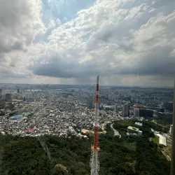 N Seoul Tower (Namsan Tower) - Seoul