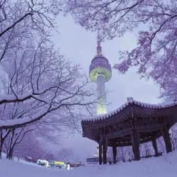 N Seoul Tower (Namsan Tower) - Seoul