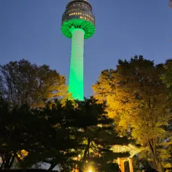 N Seoul Tower (Namsan Tower) - Seoul