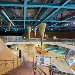 Tri-Bowl - Songdo-dong