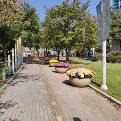 Pyeongtaek Lake Park - Songtan