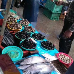 Songtan Central Market - Songtan