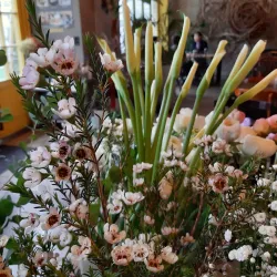 Cafe Street in Suji - Suji-gu