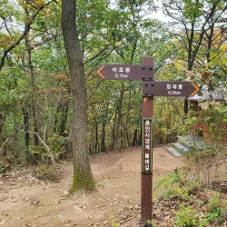 Hiking Trails of Yongin - Suji-gu