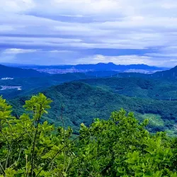 Hiking Trails of Yongin - Suji-gu