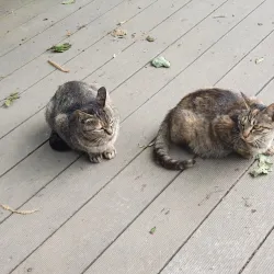 Hiking Trails of Yongin - Suji-gu