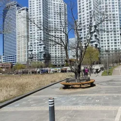 Seongbok Lake Park - Suji-gu