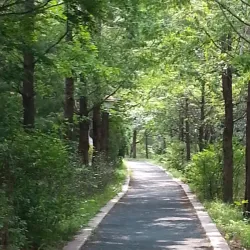 Suji Rodeo Street - Suji-gu