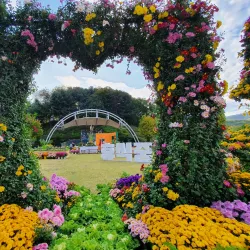 Yongin Agricultural Theme Park - Suji-gu