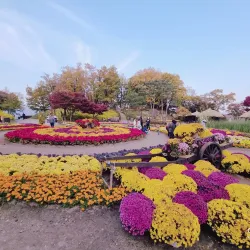 Yongin Agricultural Theme Park - Suji-gu