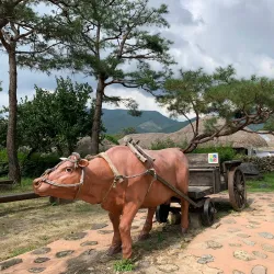 Naganeupseong Folk Village - Suncheon