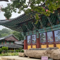 Songgwangsa Temple - Suncheon