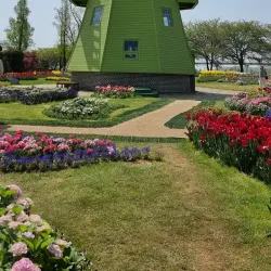 Suncheon Bay National Garden Eco-Museum - Suncheon
