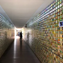 Suncheon Bay National Garden Eco-Museum - Suncheon