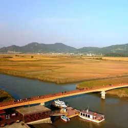 Suncheon Bay Reed Field - Suncheon